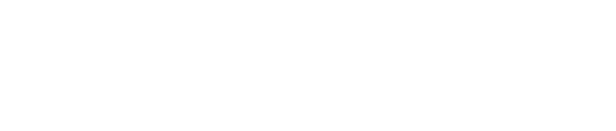 Breve logo